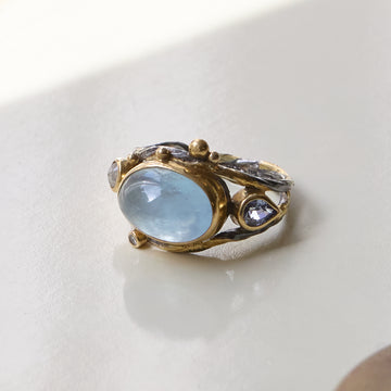 Dobbelt Seafire Sølv Ring